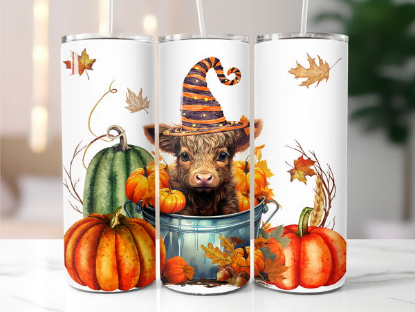 20oz Tumblers