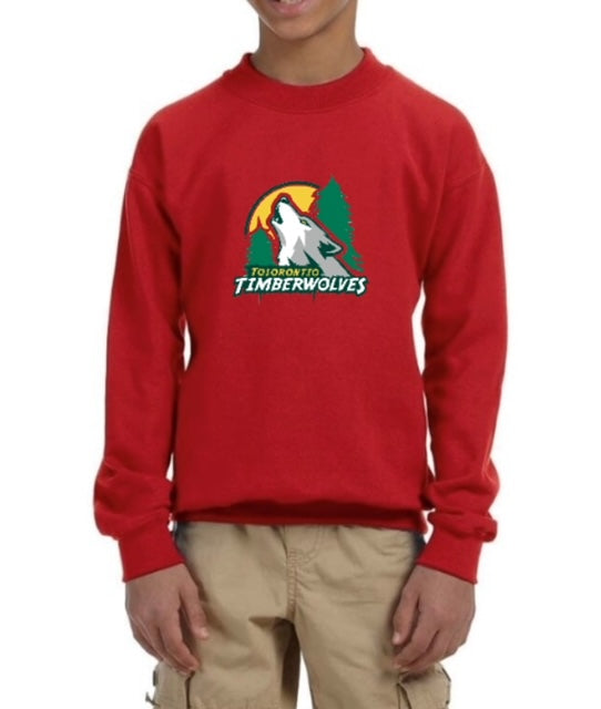 youth crew neck sweater