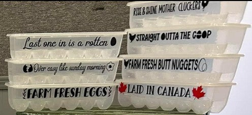 Egg Carton