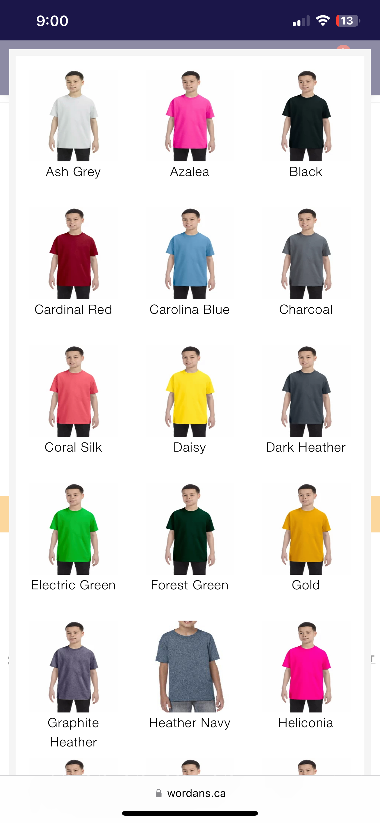 Gildan youth T-shirt