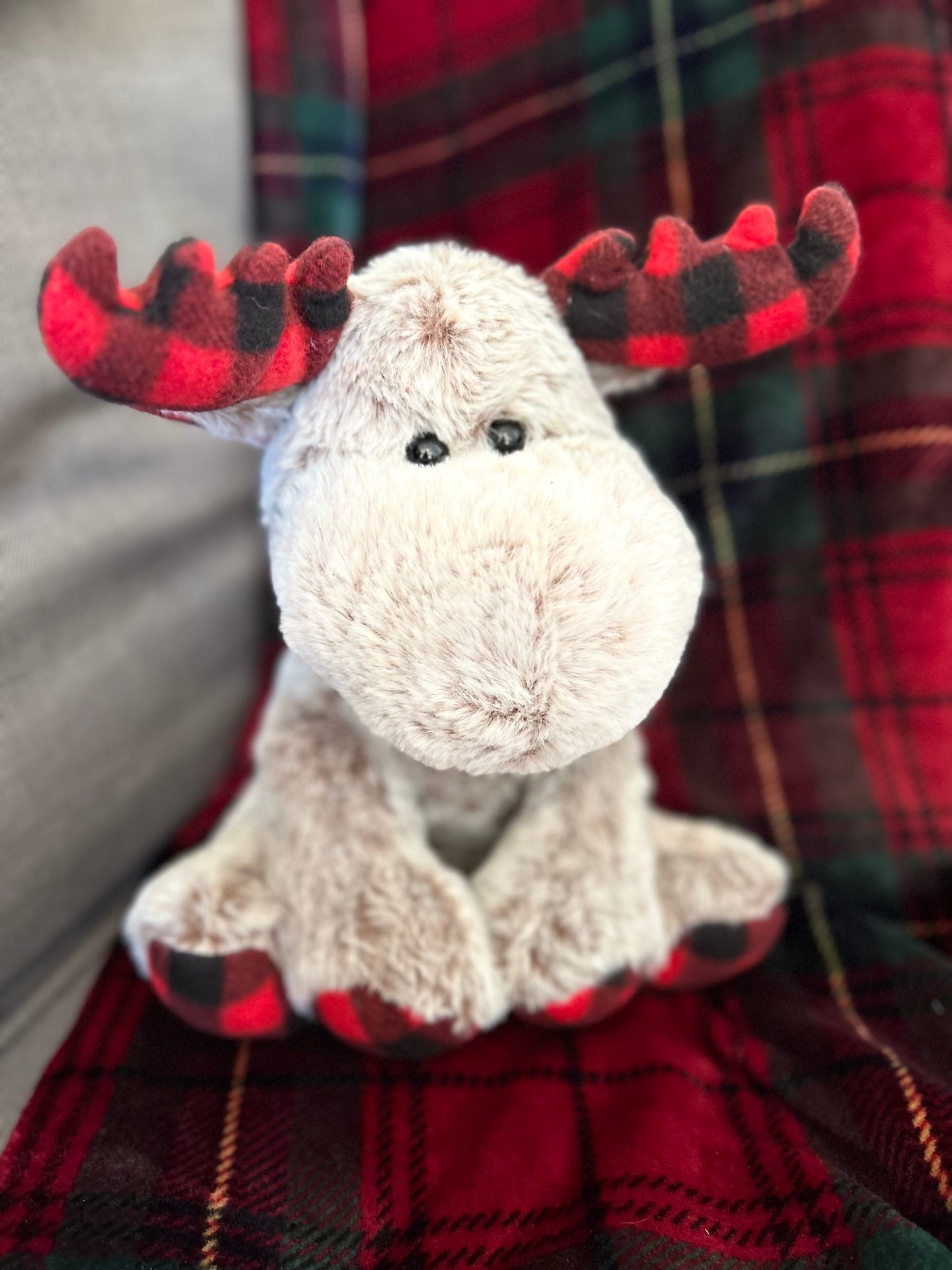 Moose