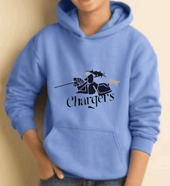 Gildan youth hoodies